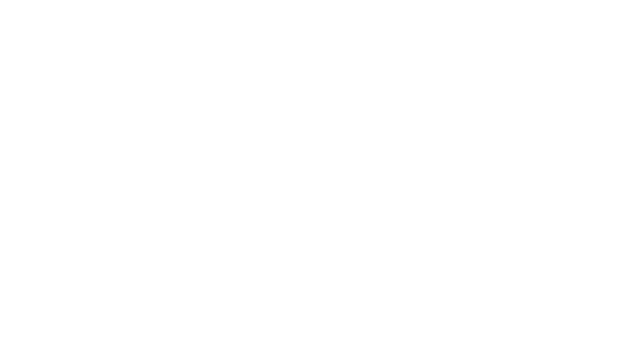 Programa ConectaT